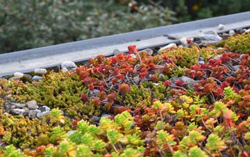 the cost of Empingham green roof installation