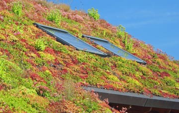 Empingham living roof systems